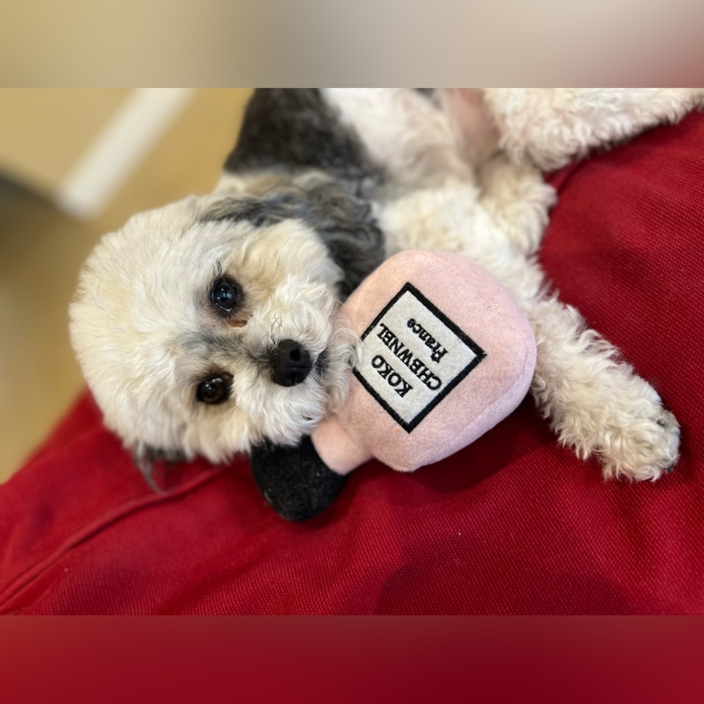 Meet your Posher, Oliviaodc